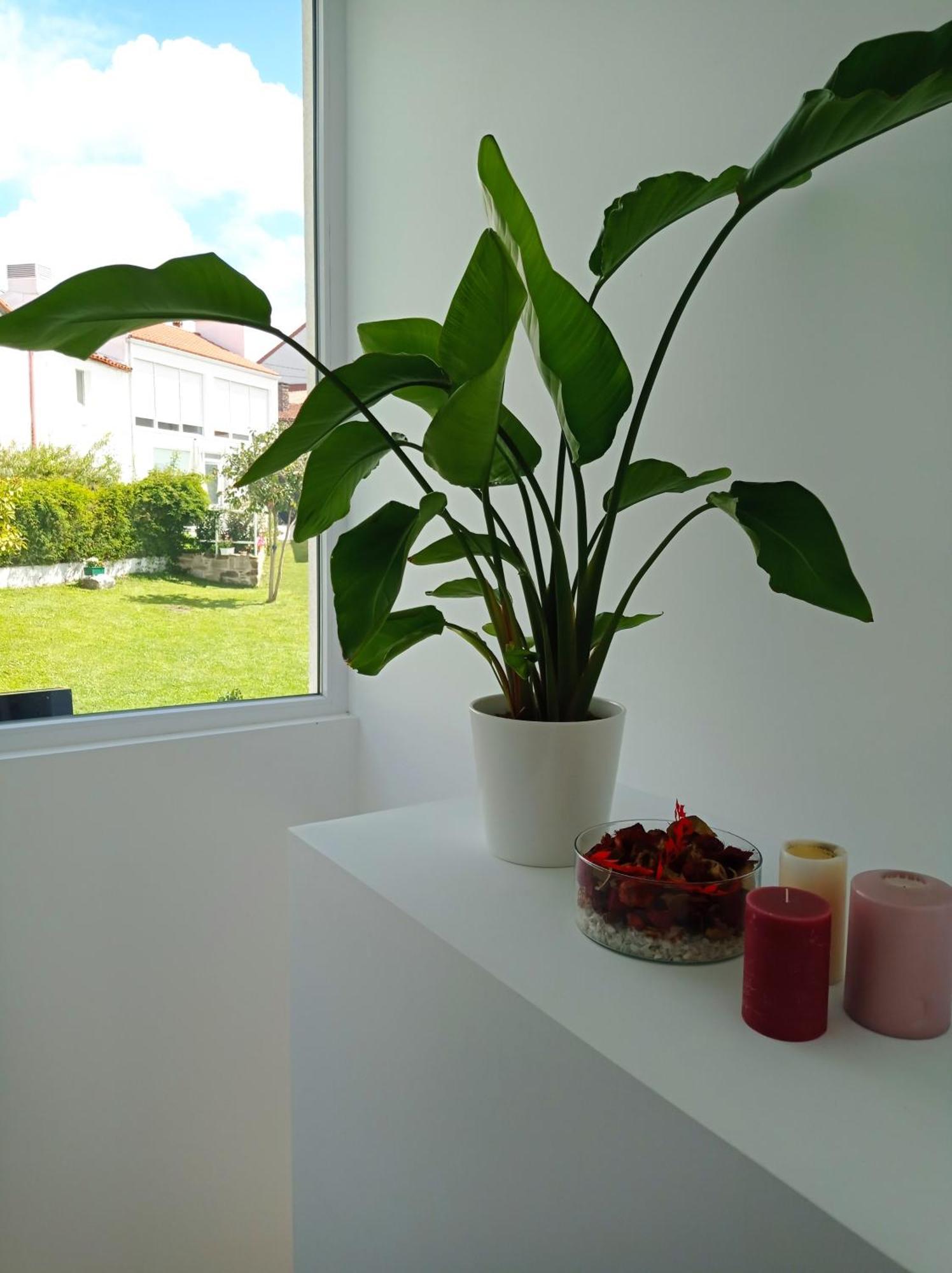 Casas Turisticas Lar Jardin - Parking Privado Santiago de Compostela Zewnętrze zdjęcie