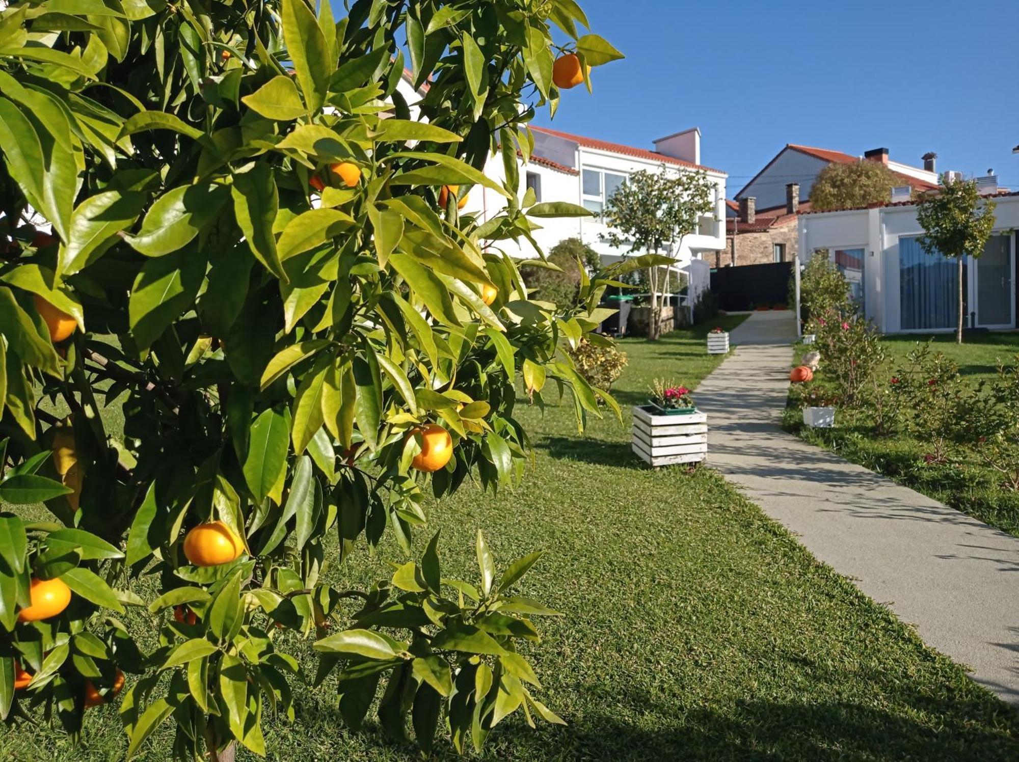 Casas Turisticas Lar Jardin - Parking Privado Santiago de Compostela Zewnętrze zdjęcie